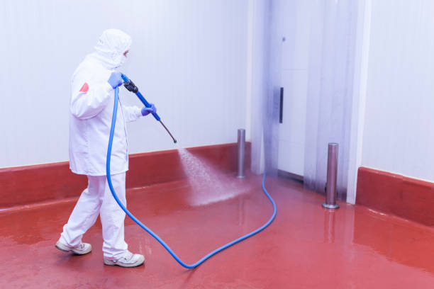 Best Spring Cleaning  in Wellsville, KS