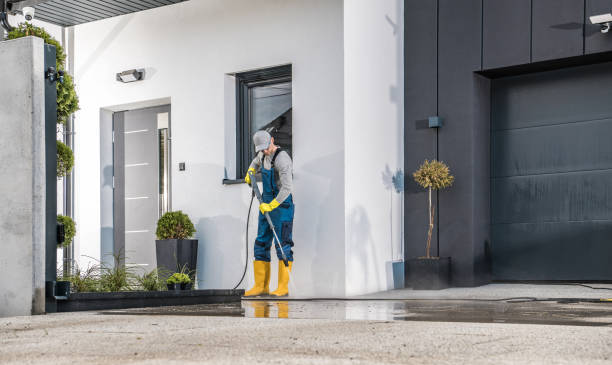 Best Roof Washing  in Wellsville, KS